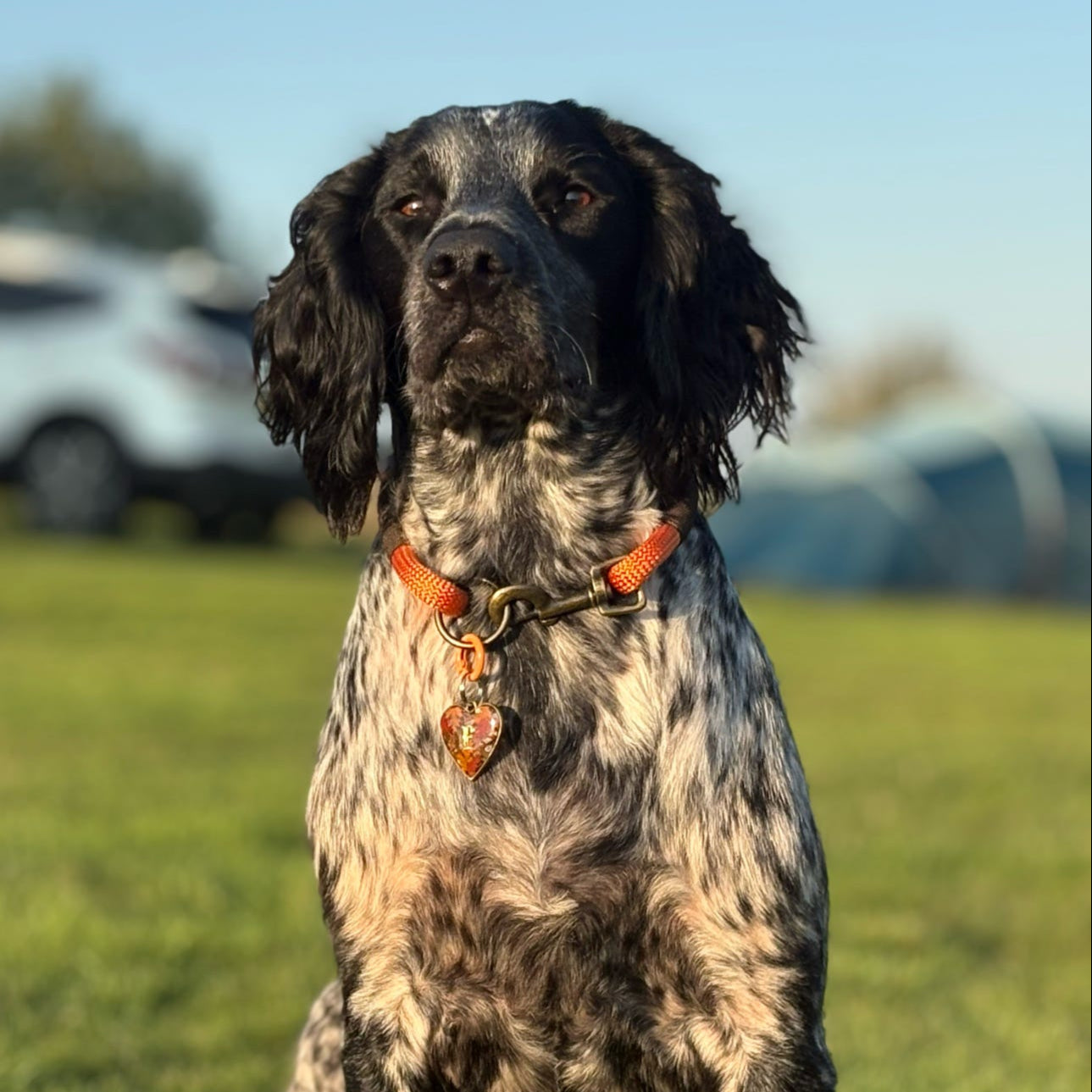 Double Layer Rope Collar - Design Your Own