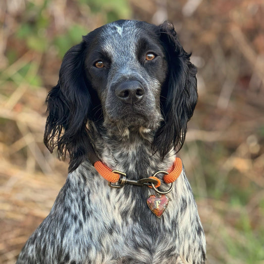 Double Layer Rope Collar - Design Your Own