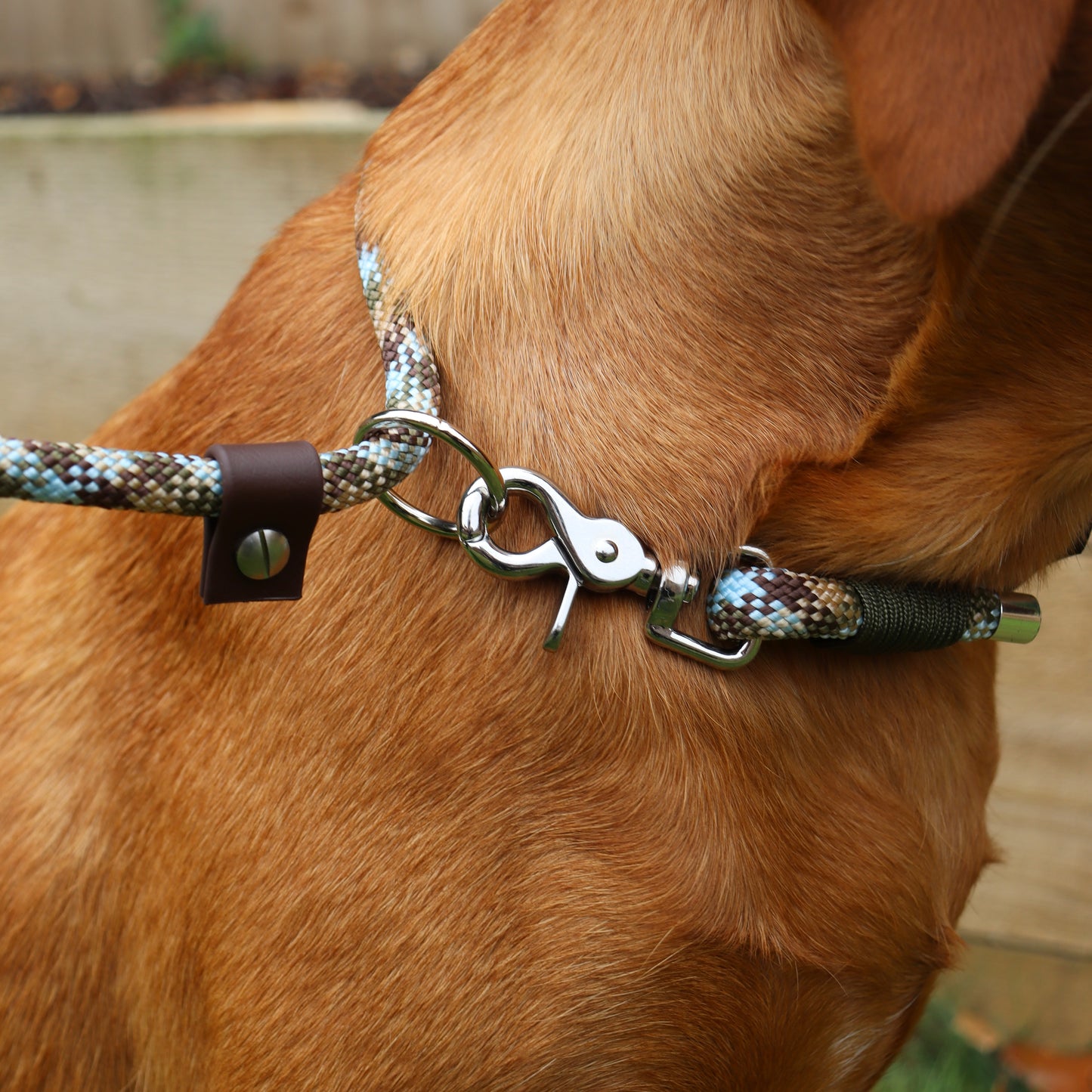 Paracord Dog Slip & Clip Lead - Design Your Own