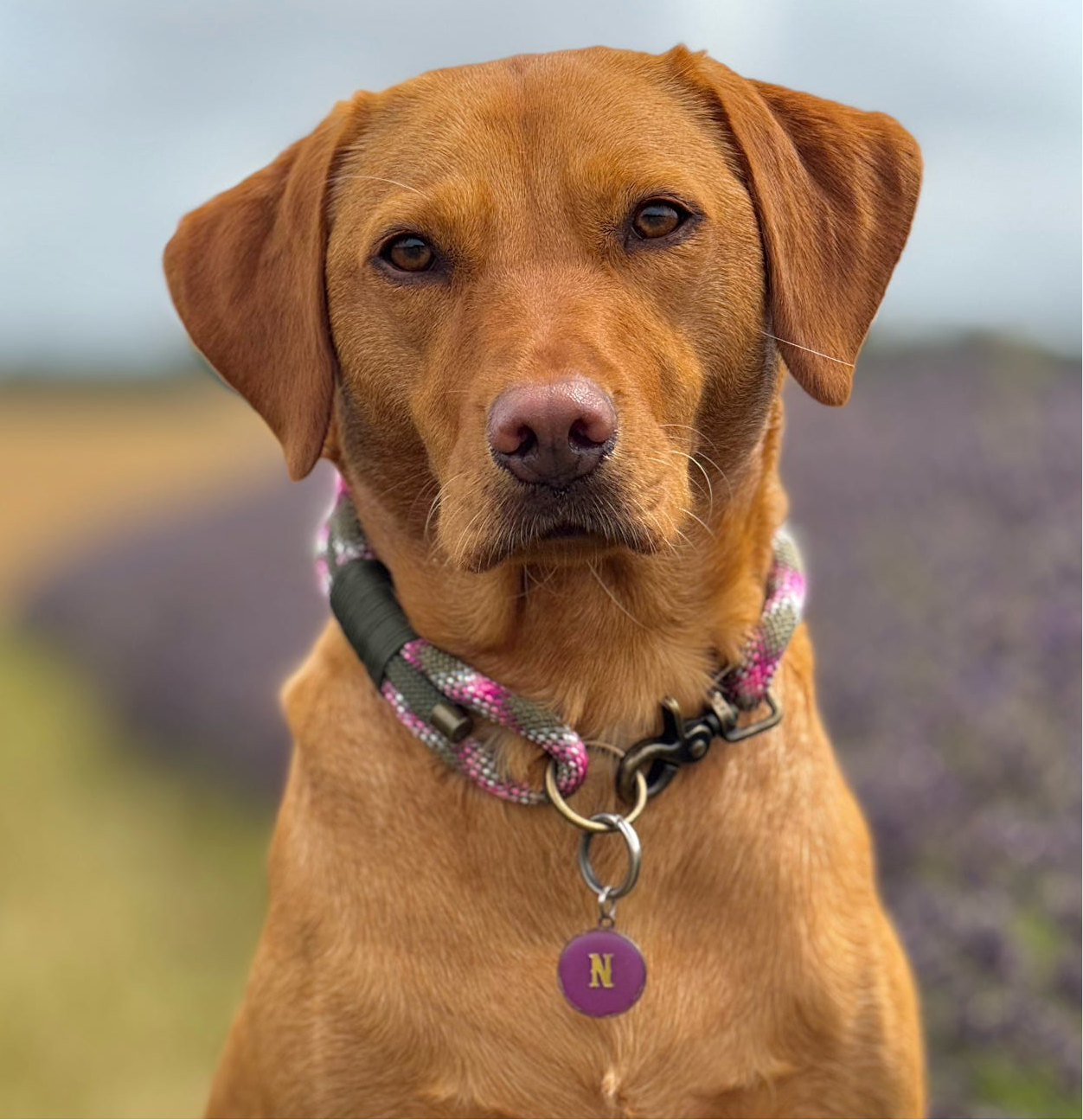 Triple Layer Rope Collar - Design Your Own