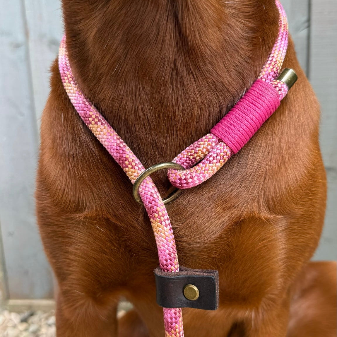 Paracord Dog Slip Lead - Design Your Own