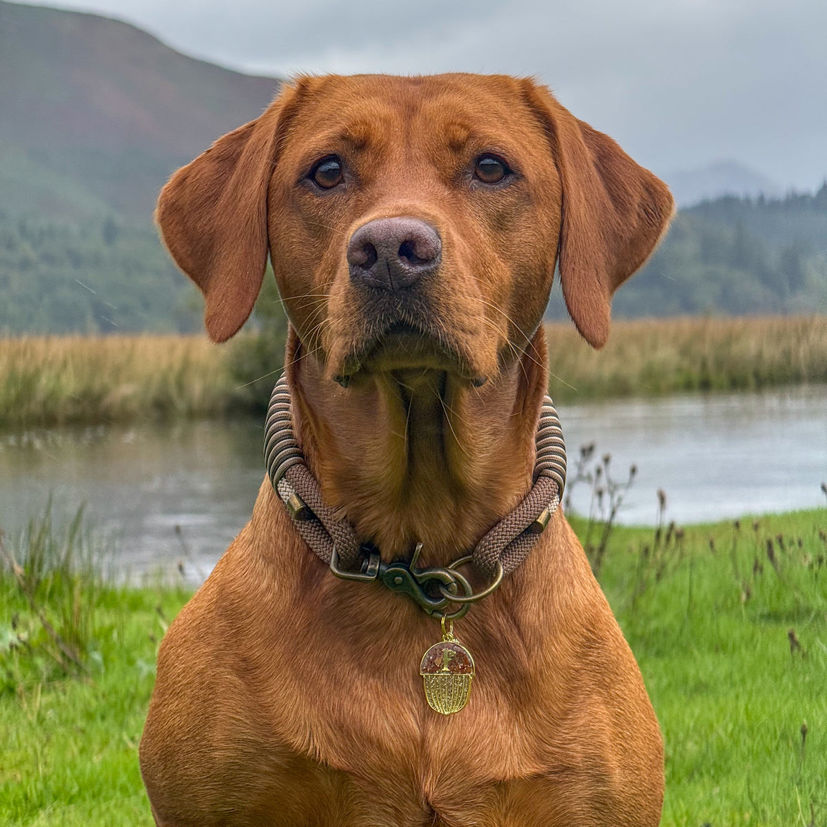 Woodland Wonder Triple Layer Rope Collar