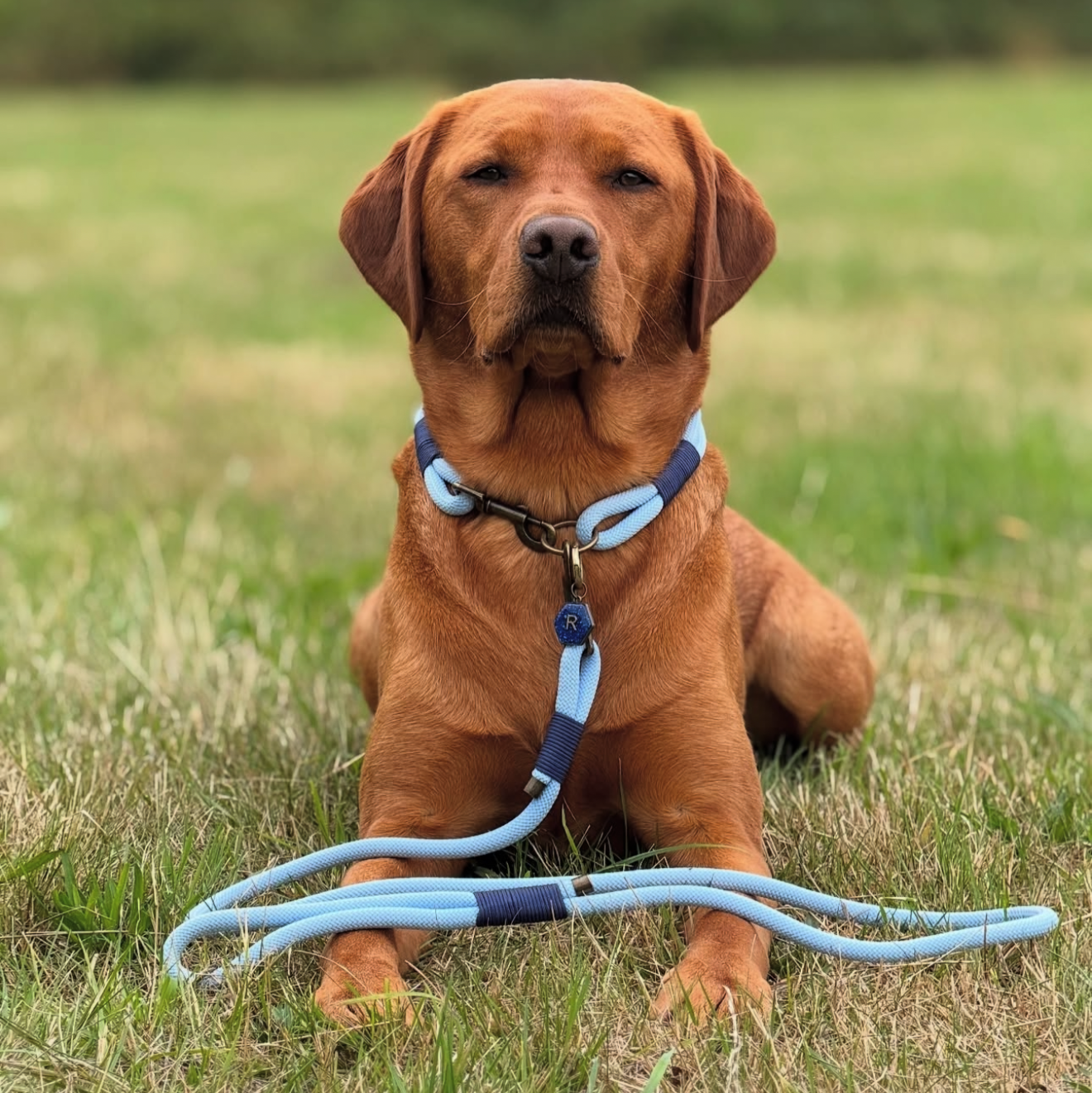 Double Layer Rope Collar - Design Your Own