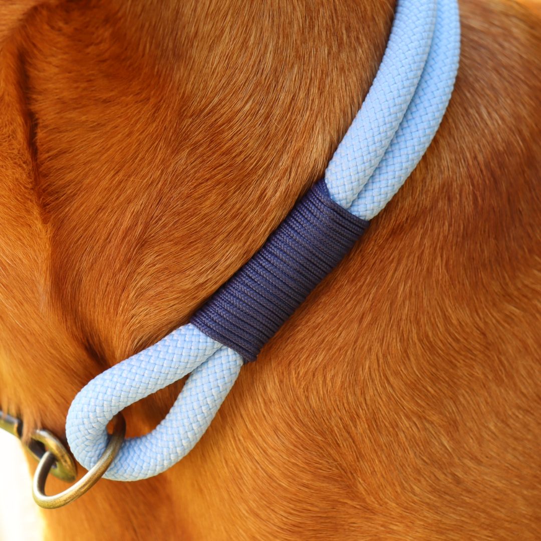 Double Layer Rope Collar - Design Your Own