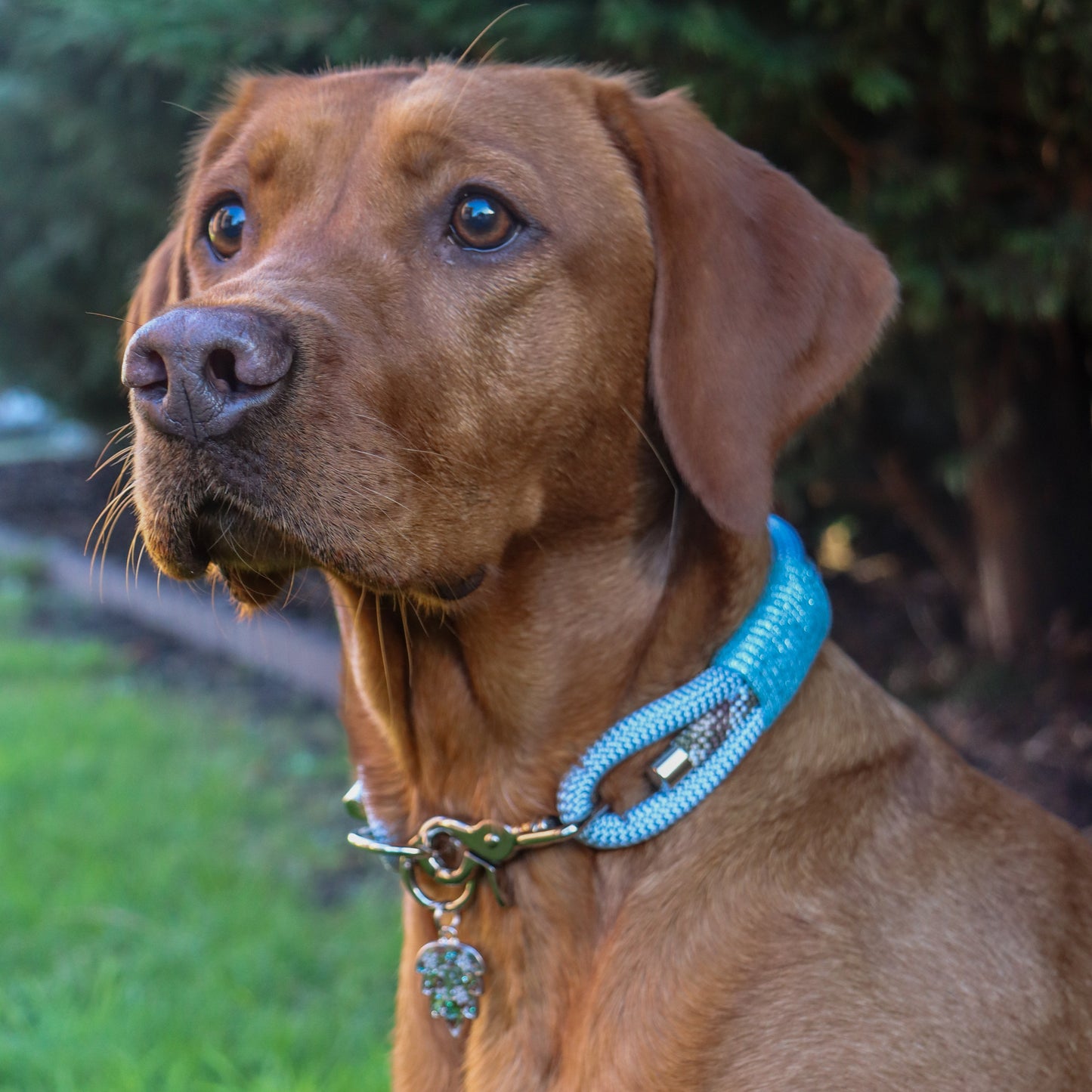 The 'Frosted Forest' Triple Collar