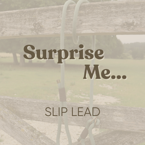 Surprise Me - Paracord Dog Slip Lead