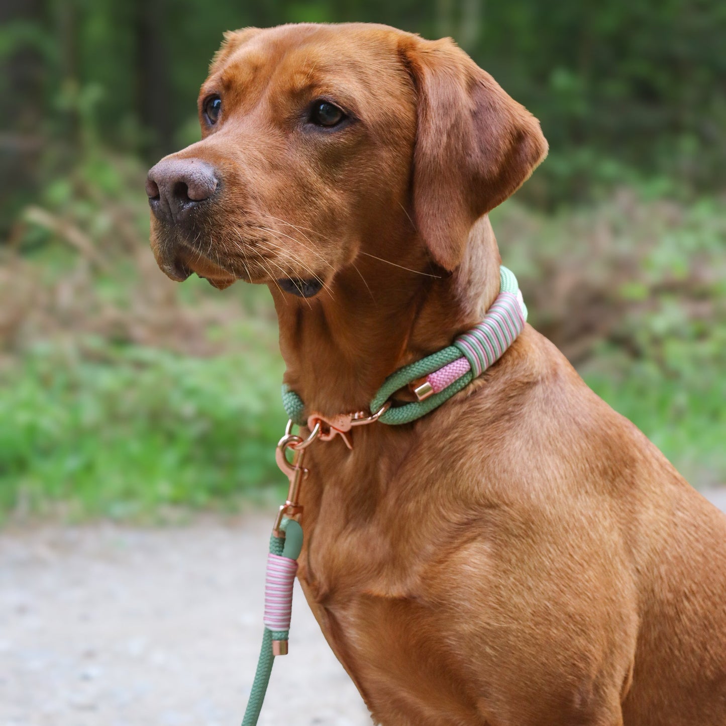 Raspberry Matcha Triple Layer Rope Collar