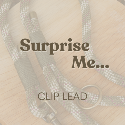 Surprise Me - Paracord Dog Clip Lead