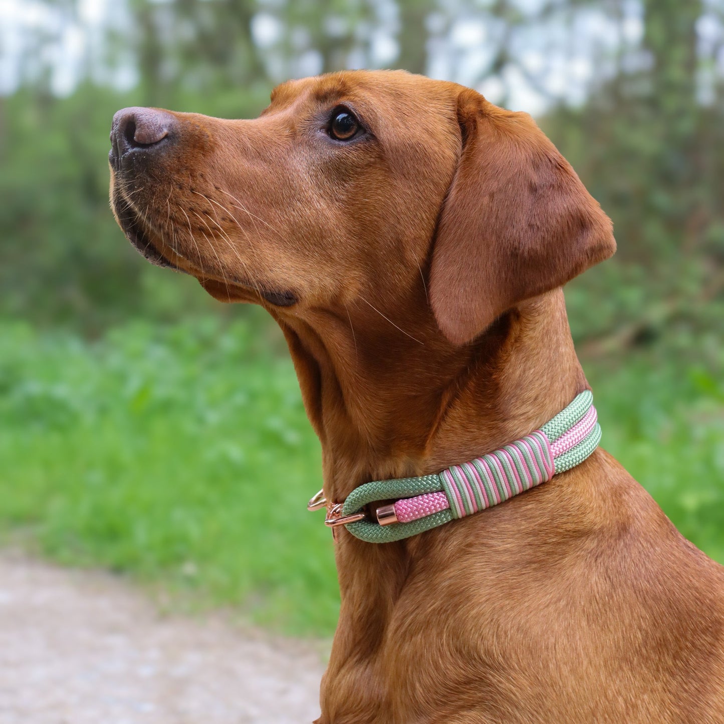 Raspberry Matcha Triple Layer Rope Collar