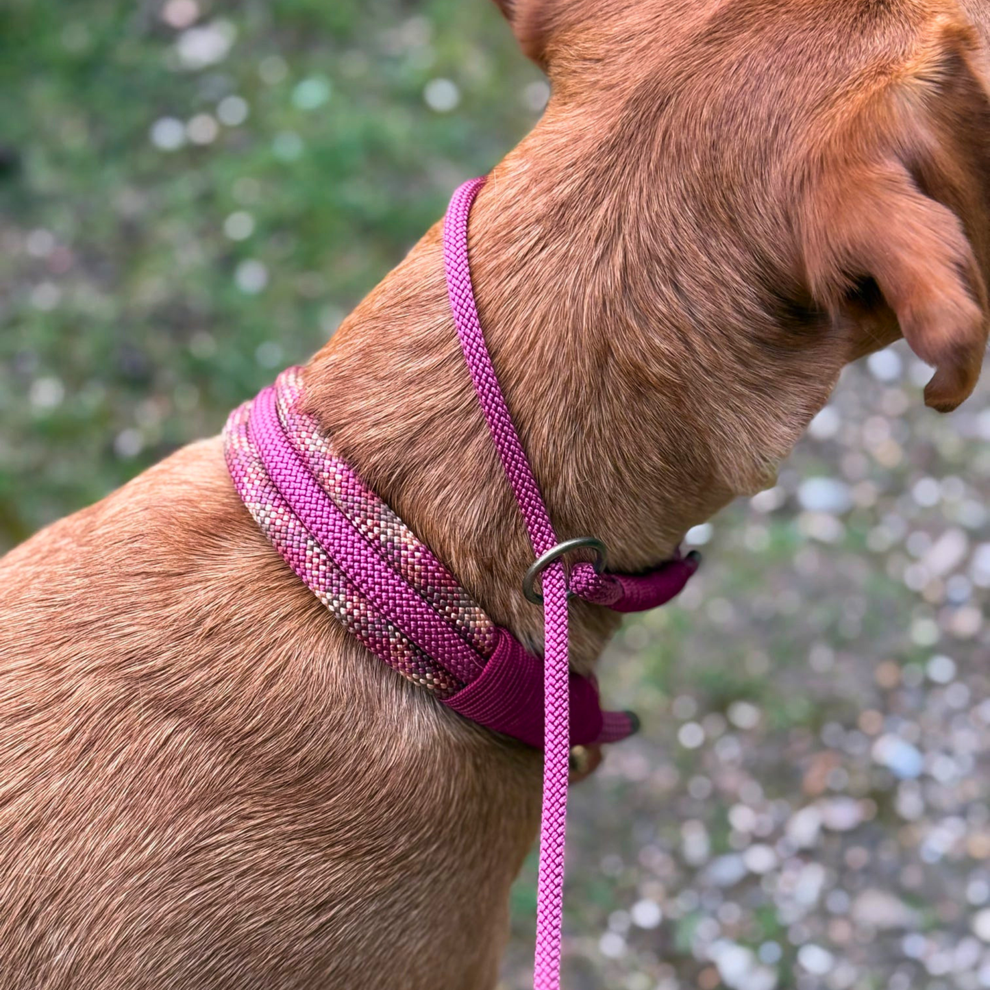 Paracord 6mm Gun Dog Slip Lead - Design Your Own