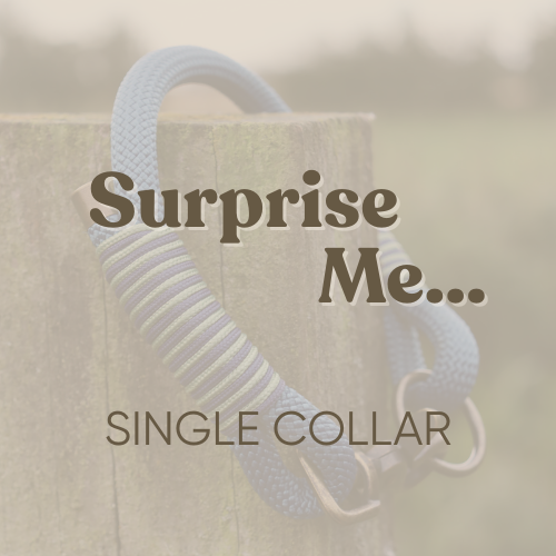 Surprise Me - Single Layer Rope Collar