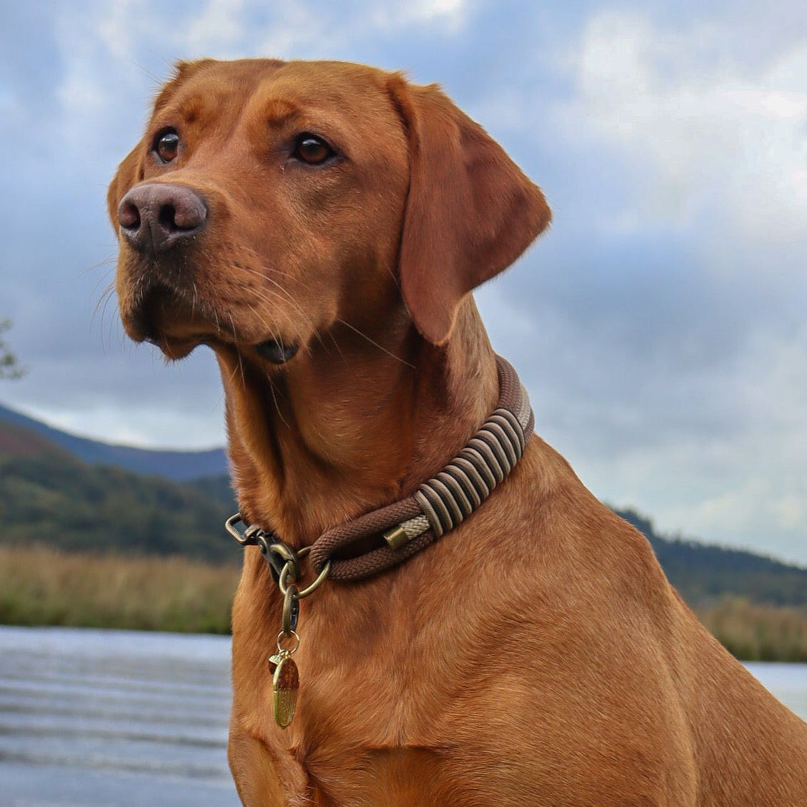 Woodland Wonder Triple Layer Rope Collar