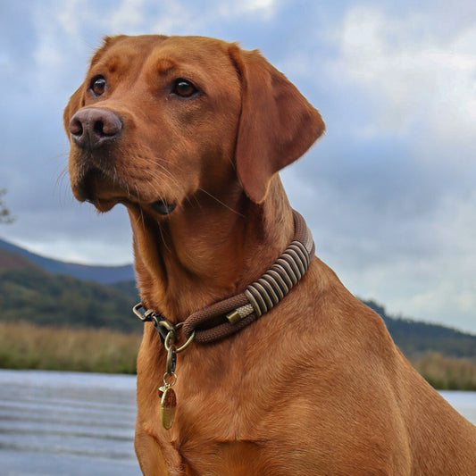 Woodland Wonder Triple Layer Rope Collar