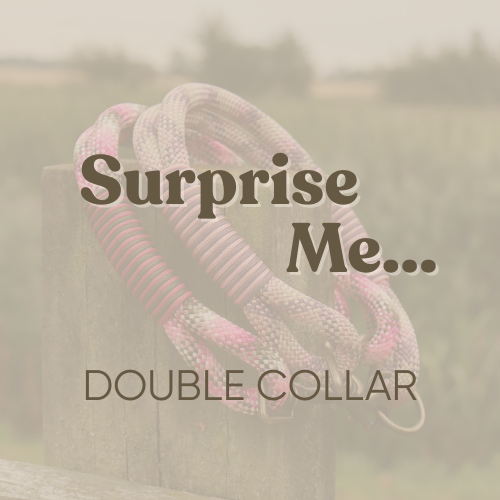 Surprise Me - Double Rope Collar