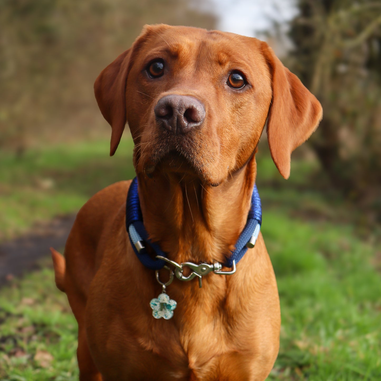 The 'Frozen Flower' Triple Collar