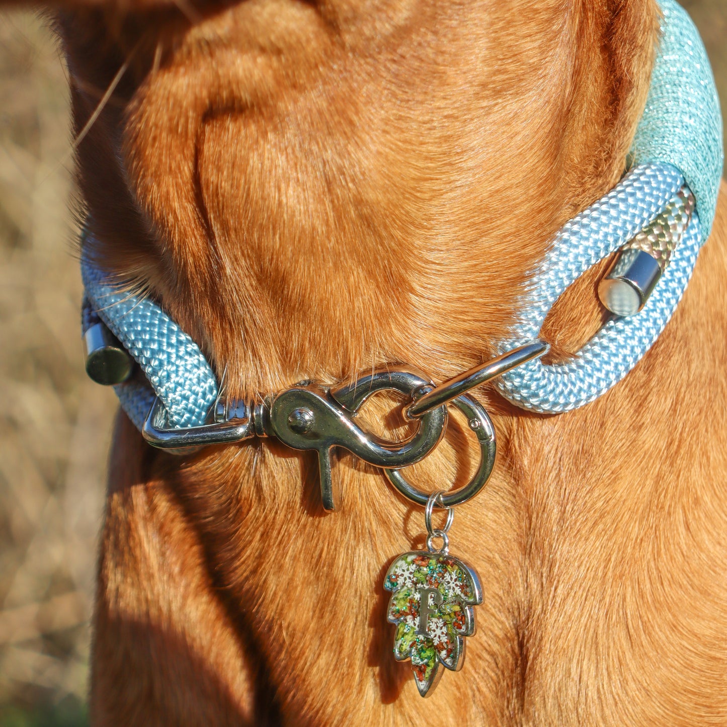The 'Frosted Forest' Triple Collar