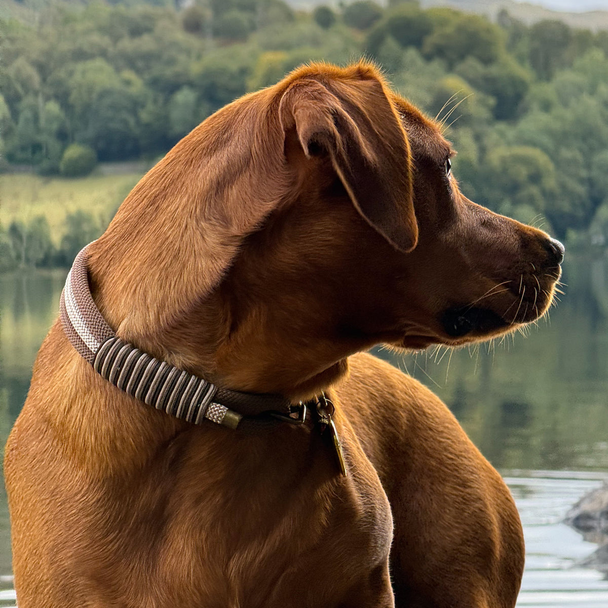 Woodland Wonder Triple Layer Rope Collar