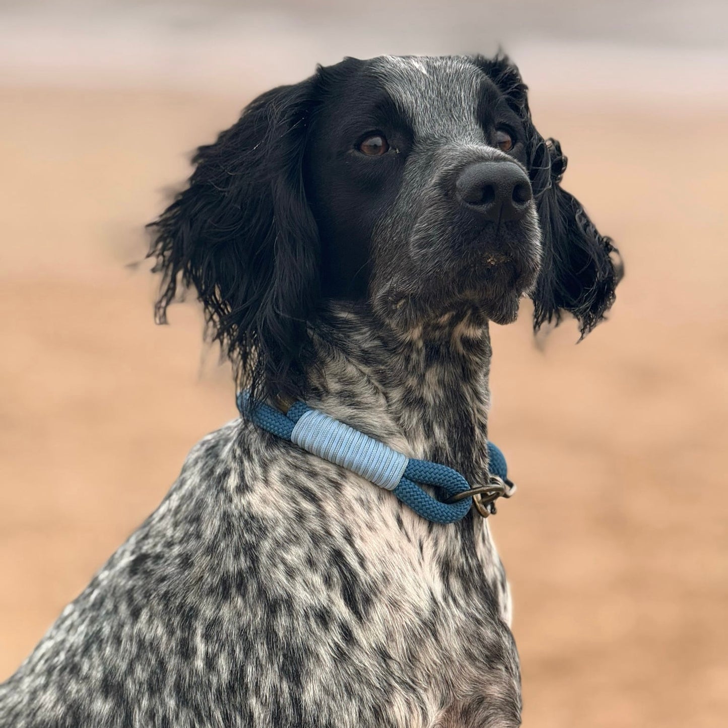The 'Forrest' Double Collar