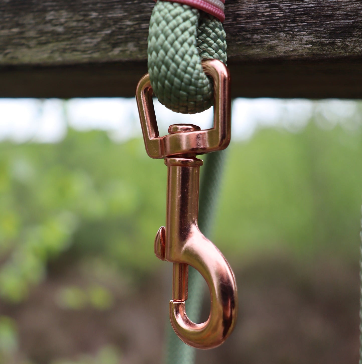 Raspberry Matcha Paracord Dog Clip Lead