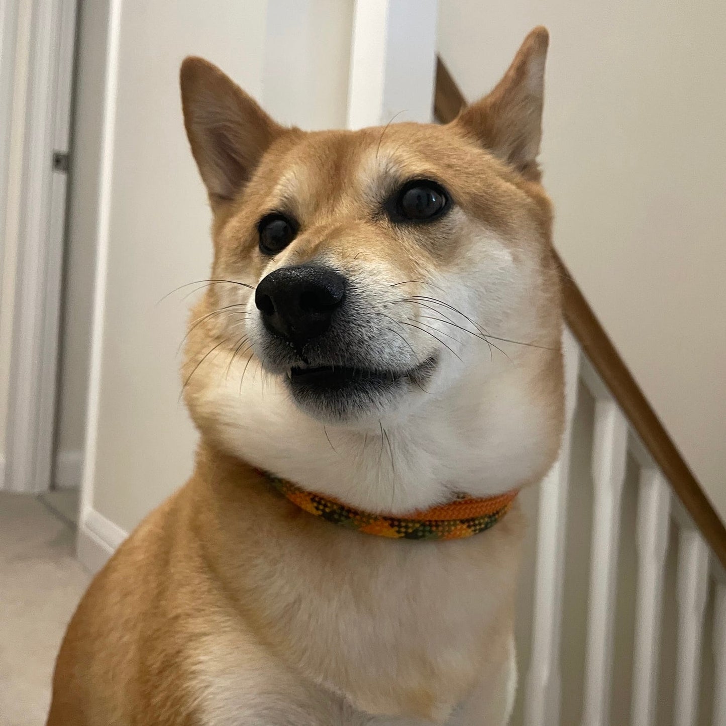 The 'Airi' Triple Collar