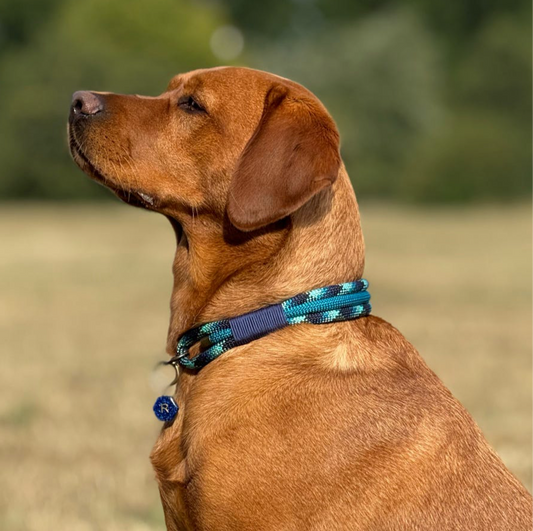 Triple Layer Rope Collar - Design Your Own
