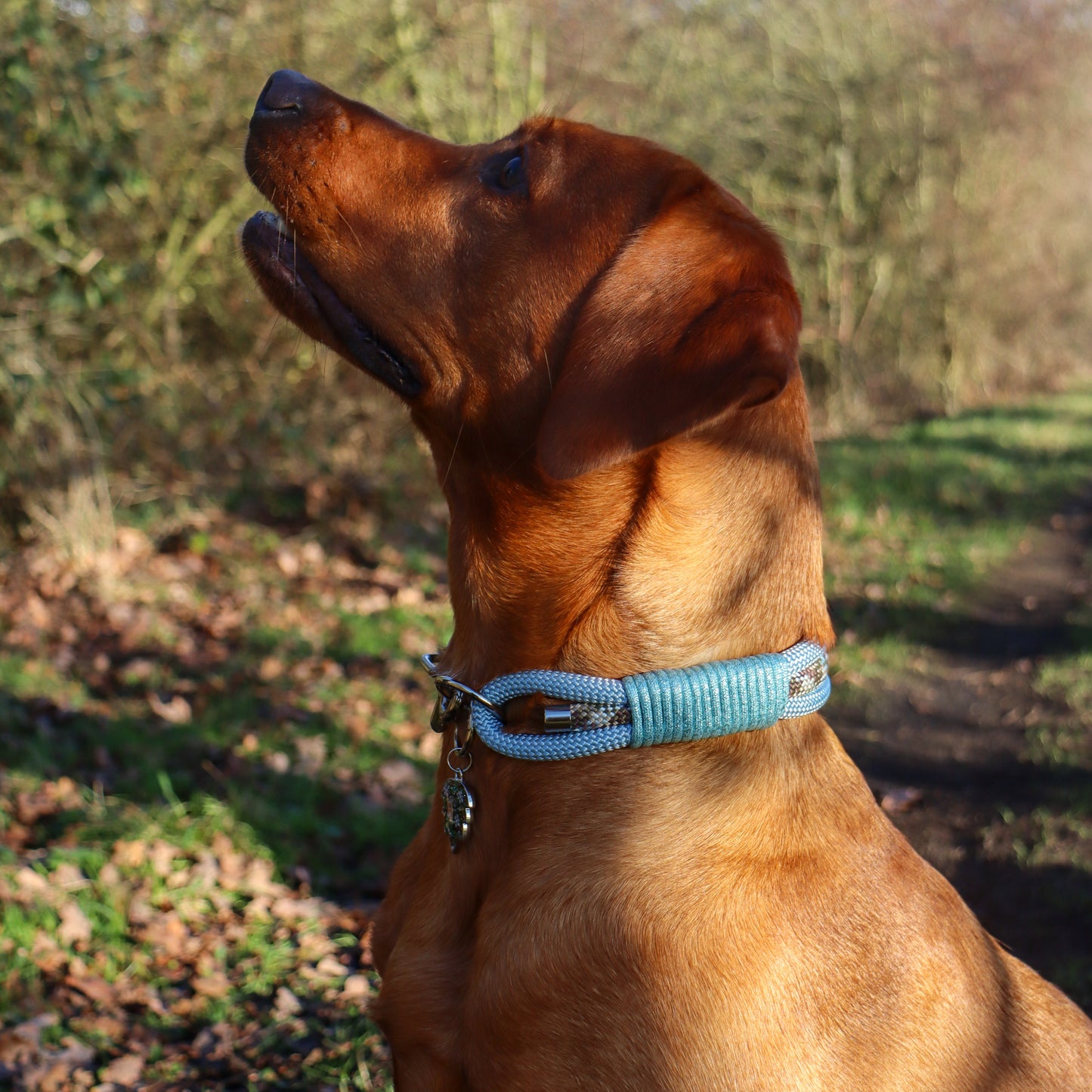 The 'Frosted Forest' Triple Collar