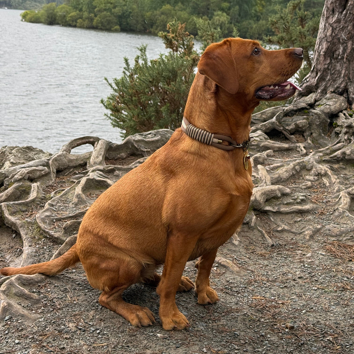 Woodland Wonder Triple Layer Rope Collar