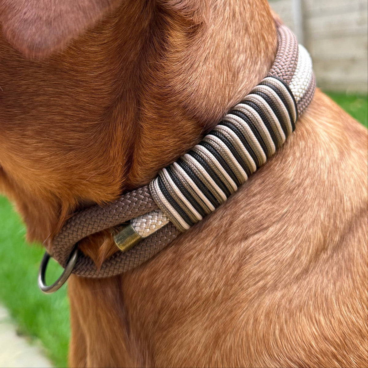 Woodland Wonder Triple Layer Rope Collar
