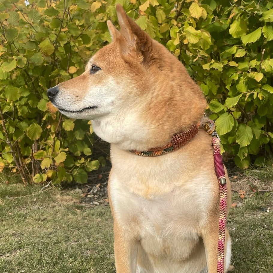 The 'Airi' Triple Collar