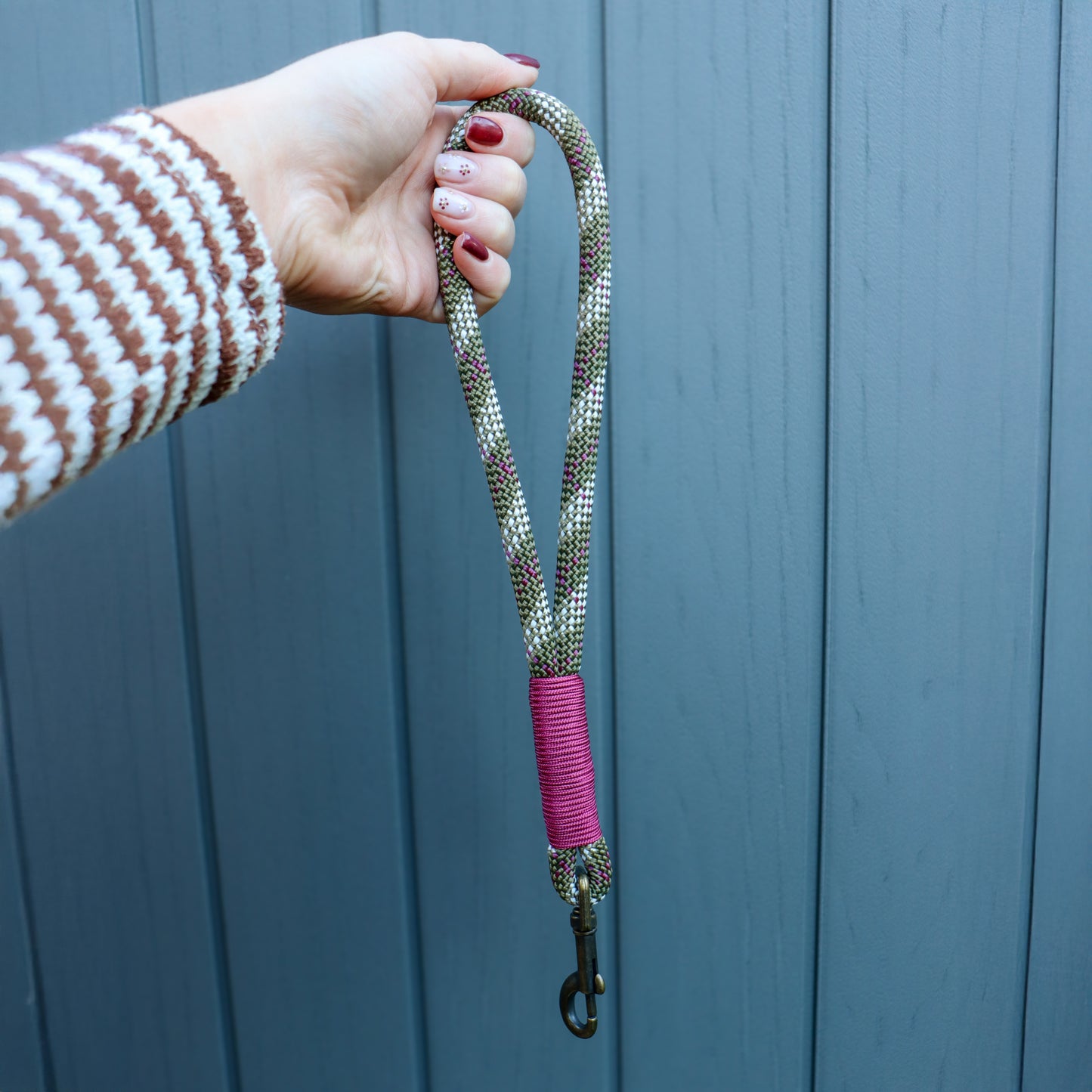 Paracord Dog Grab Handle