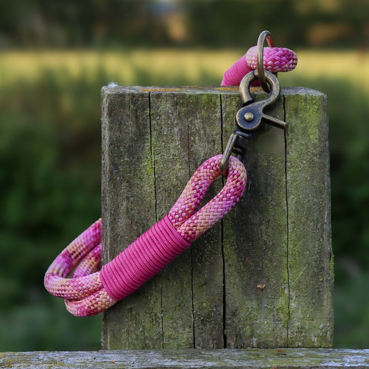 The 'Fig' Double Collar