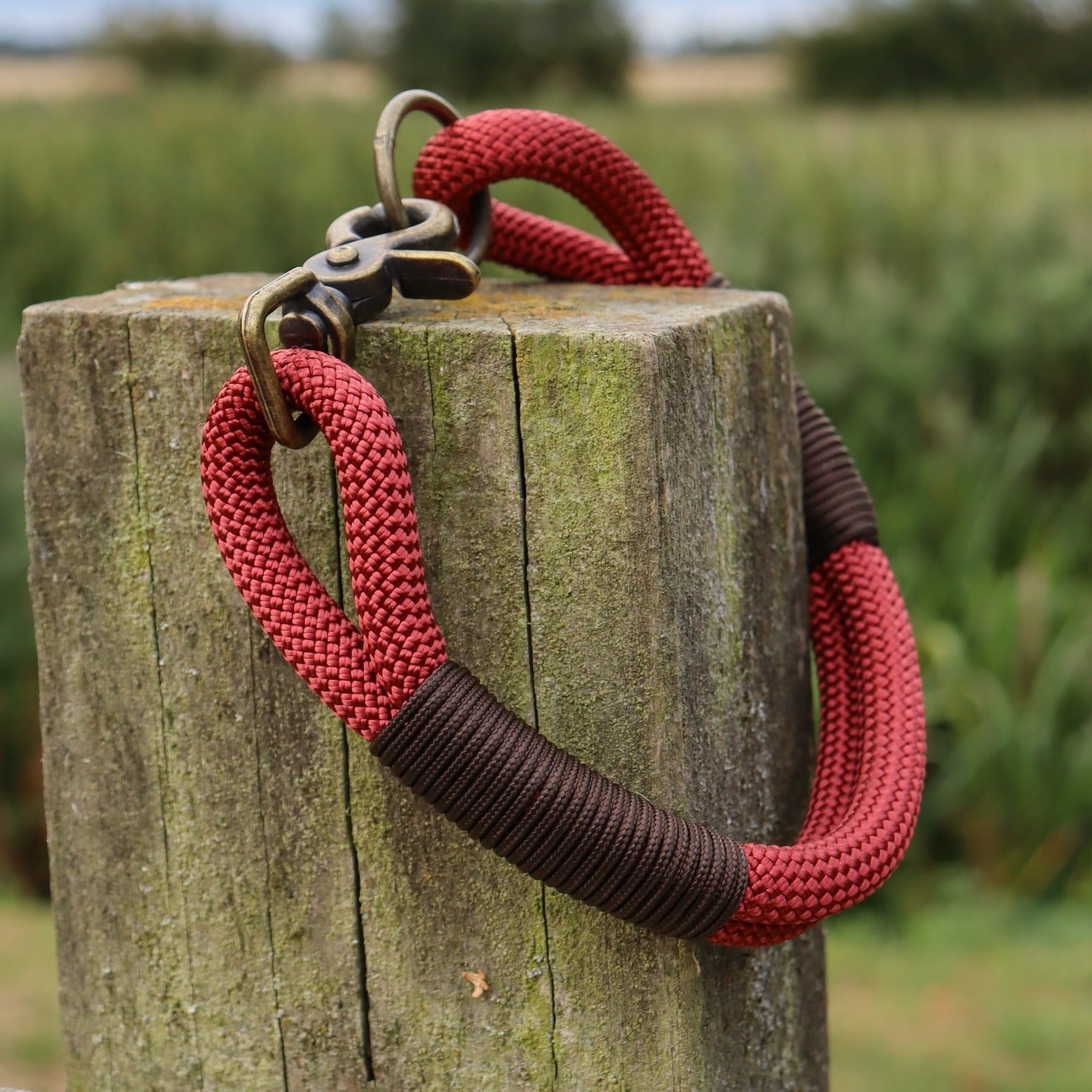 The 'Oscar' Double Collar